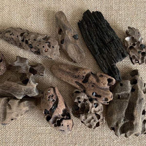 Pieces of driftwood on a hessian backing
